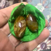 مهره با مهلت تست بدون پرداخت