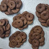 محصولات خانگی شمالی
