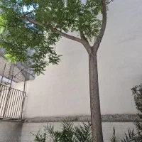 سبلان  کلنگی ۱۰۰ متر  بر ۲۰ منطقه ۷