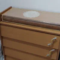 جاکفشی سالم