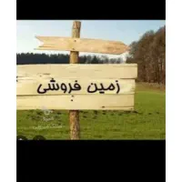 زمین مسکونی کوی زیتون