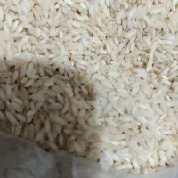 برنج دانه بلند عنبر بو شوشتر