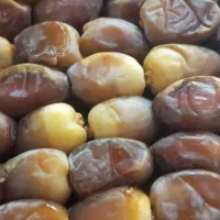رطب کبکاب کیلویی 250