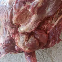 گوشت بز