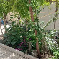یک-خواب-پارکنیگ-راه-جدا-شیخ-طوسی-دوم