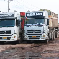 کود حیوانی وجابه جایی