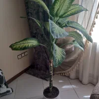 ۴ عدد گل و گلدان