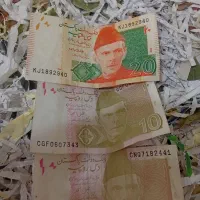 پول روپیه پاکستان عالی