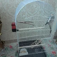 قفس بزرگ و شیک