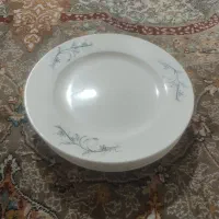 10عدد عدد بشقاب چینی