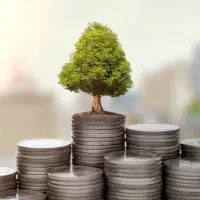 نیازمند سرمایه گذار