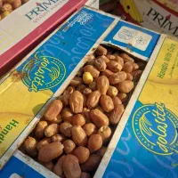 قصب (خرما زاهدی) درجه ۱ دانه درشت و رنگ روشن