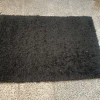 پادری