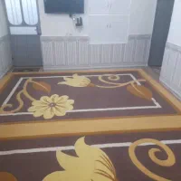 فروش دوعدد فرش نه متری درحدنو وسرویس شده