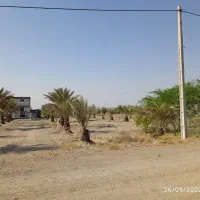 10قطعه-زمین10قصبی