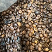 ۱۰۰روبوستا فول کافیین شکلاتی