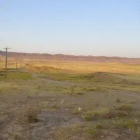 زمین دیم کشاورزی