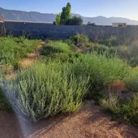 باغ-چهاردیواری-اقساط-کارمندی-بدونه-بهره