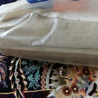 موکت نو طوسی