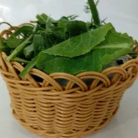 سبد سبزی.