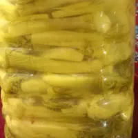 ترشی بیلهر