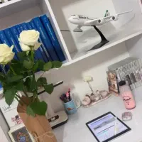 میز تحریر و‌کتابخانه جادار و‌بزرگ و‌گشو دار