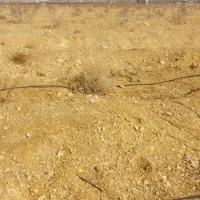 باغ 1700متر واقع در قنوات نجف‌آباد