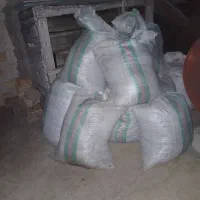 کود کبوتر