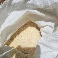 برنج عنبربو درجه ۱