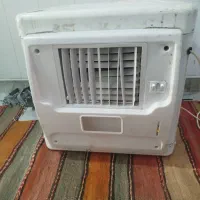 کولر سوزان سالم
