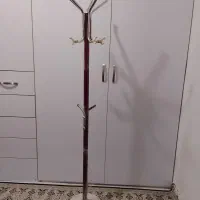 چوبلباسی ایستاده در حد