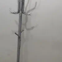 چوب لباسی