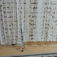 پرده|پرده، رانر، رومیزی|رشت, کاکتوس|دیوار