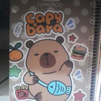 فروش کارتنی دفتر 100 جلد سخت سیمی فانتزی