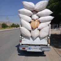 فروش کاه درجه یک رومشکان