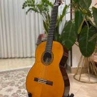 گیتار یاماها C70