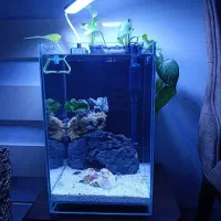 اکواریوم شیشه ریملس