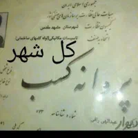 وصل نصب اگو تعمیر لوله بازکنی مقنی دارای جواز کسب