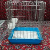 قفس عروس هلندی