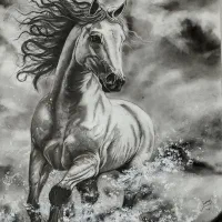 سفارش نقاشی