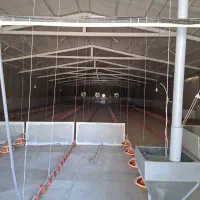 استخدام کارگر مرغداری گوشتی