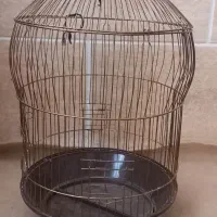 قفس پرنده