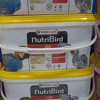 سرلاک A19 اصلی