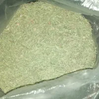 پونه کوهی