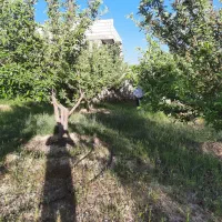 باغ حسین آباد،خان زنیان