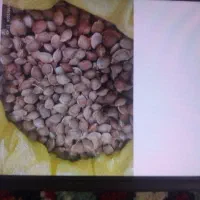 برگ زردآلو آفتابی تمیز و مرتب خشک شده شیرین