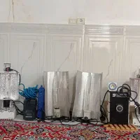 ال‌ای‌دی مخصوص رشد گیاه
