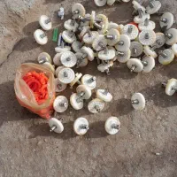 وسایل برقی