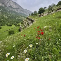 زمین با کاربری