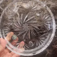 میوه خوری جی سی سی